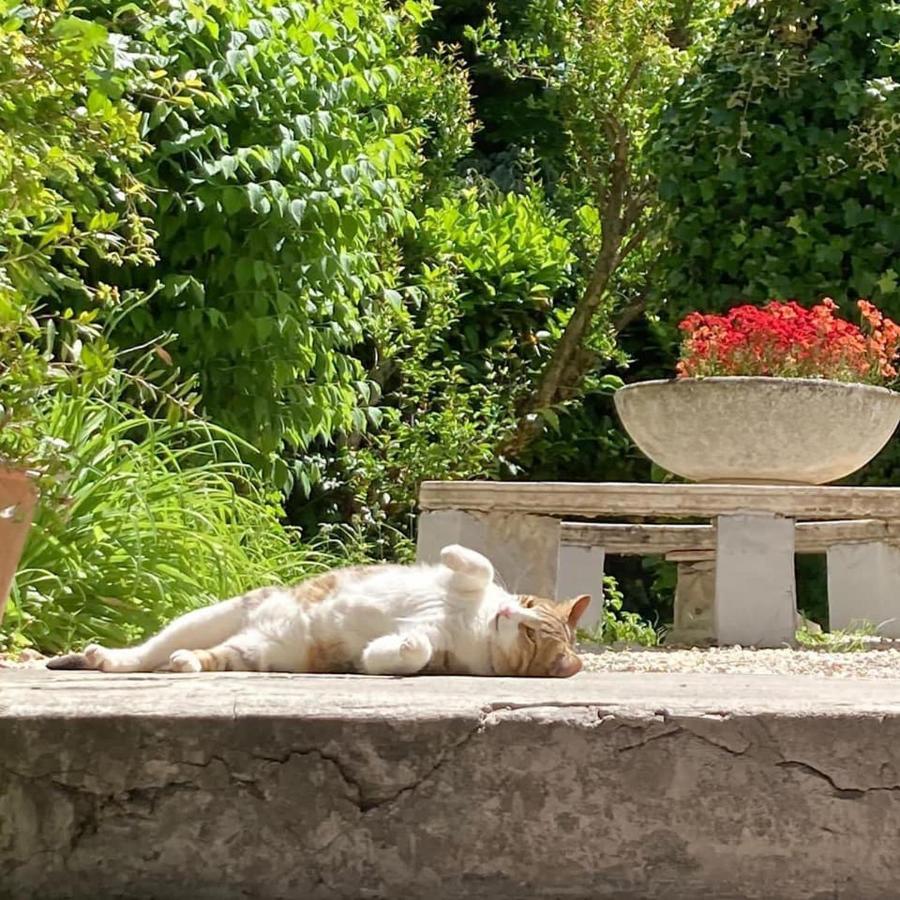 Il Giardino Nel Parco R&b Gasthuis 3*